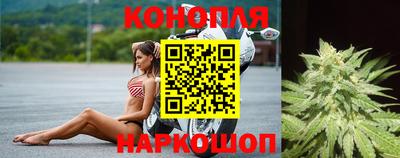 ПСИЛОЦИБИНОВЫЕ ГРИБЫ Изобильный