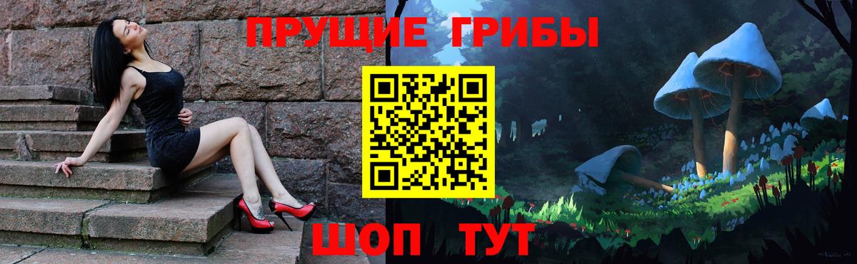 сколько стоит  Псилоцибиновые грибы MAGIC MUSHROOMS  Вход с VPN  Балаково 